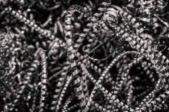 AHI-2015-10-19-07-54-04