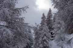 AHI-2015-11-21-12-15-42