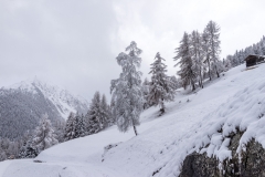 AHI-2015-11-21-12-22-56