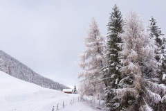 AHI-2015-11-21-12-24-43