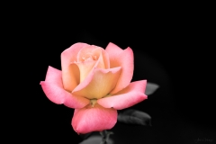 AHI-2016-01-20-16-07-59-2
