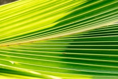AHI-2016-03-18-09-13-09