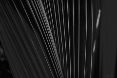 AHI-2016-03-20-12-32-16