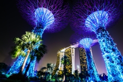 Super Trees