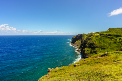 Mokolea Point - Maui