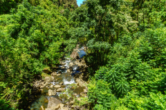 on the way to Hana - Maui