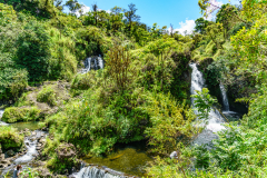 on the way to Hana - Maui
