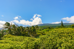 View from Pi'iani Highway in drieciton of Haleakala National Park - Maui