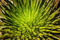 2-Hawaii-2016-09-06-68