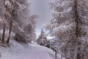 Winter in Grimentz