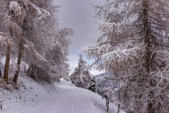 Winter in Grimentz