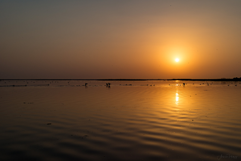 Overview with sunset