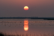 Colourful sunset