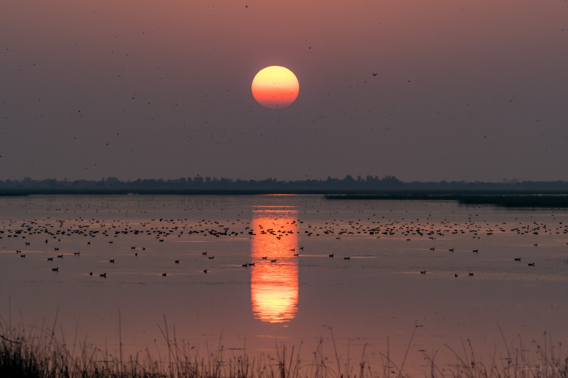 Colourful sunset