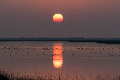 Colourful sunset
