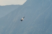 AHI-2019-08-01-12-03-13