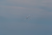 AHI-2019-08-01-12-15-10