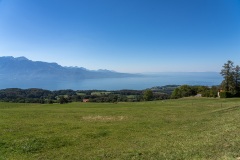 AHI-2020-09-05-12-23-40