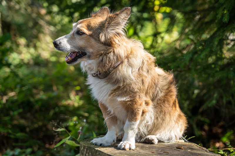 AHI-2020-09-15-14-44-27