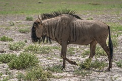 AHI-2020-03-03-12-10-39