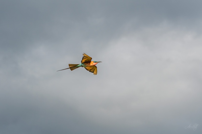 AHI-2020-03-06-08-13-34-2
