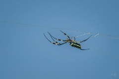 AHI-2020-03-12-10-02-01