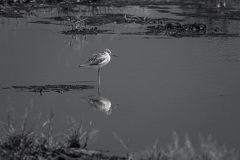 AHI-2020-03-12-10-38-49-1