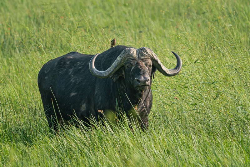 AHI-2020-03-17-08-14-32