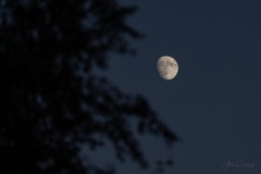 AHI-2022-07-10-21-27-12