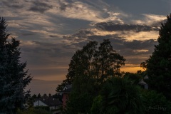 AHI-2022-08-16-20-06-06