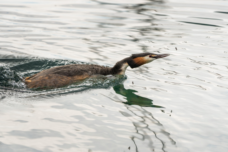AHI-2023-05-18-17-10-48-2
