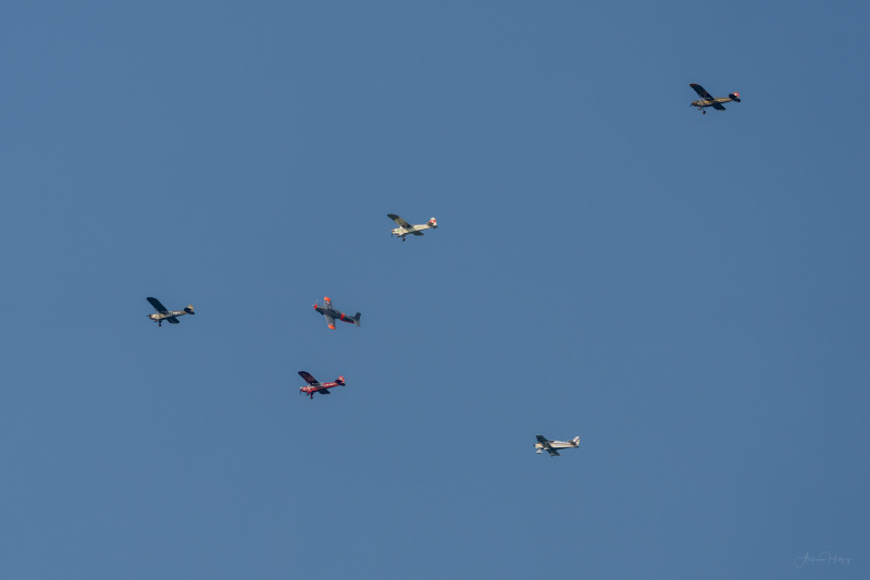 AHI-2023-06-02-18-59-37-1