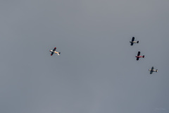 AHI-2023-06-02-18-58-11
