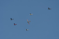 AHI-2023-06-02-18-59-22-2