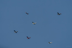 AHI-2023-06-02-18-59-39