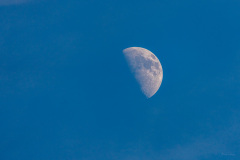 AHI-2023-07-26-19-03-36