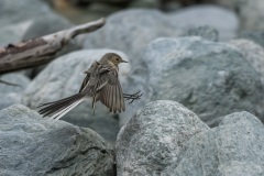 AHI-2026-09-10-Grimentz-13-36-03-0025
