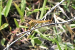 AHI-2010-10-01-09-51-40