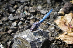 AHI-2010-10-01-09-53-20