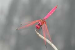 AHI-2010-10-04-10-38-14