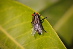 AHI-2010-12-10-11-03-19