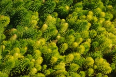 AHI-2011-09-22-09-10-54