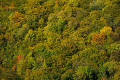 AHI-2011-10-26-08-37-53