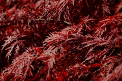 AHI-2011-10-30-13-32-24