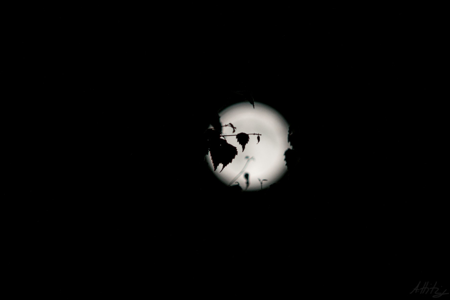 2016-07-19 Full moon