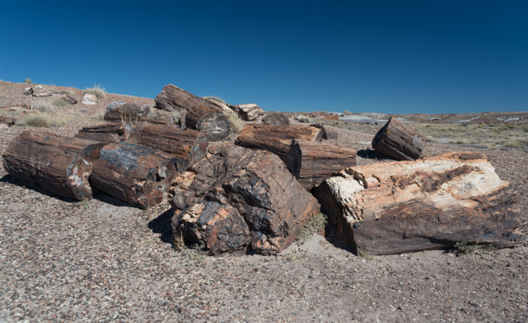 2014-08-31 Petrified Forest