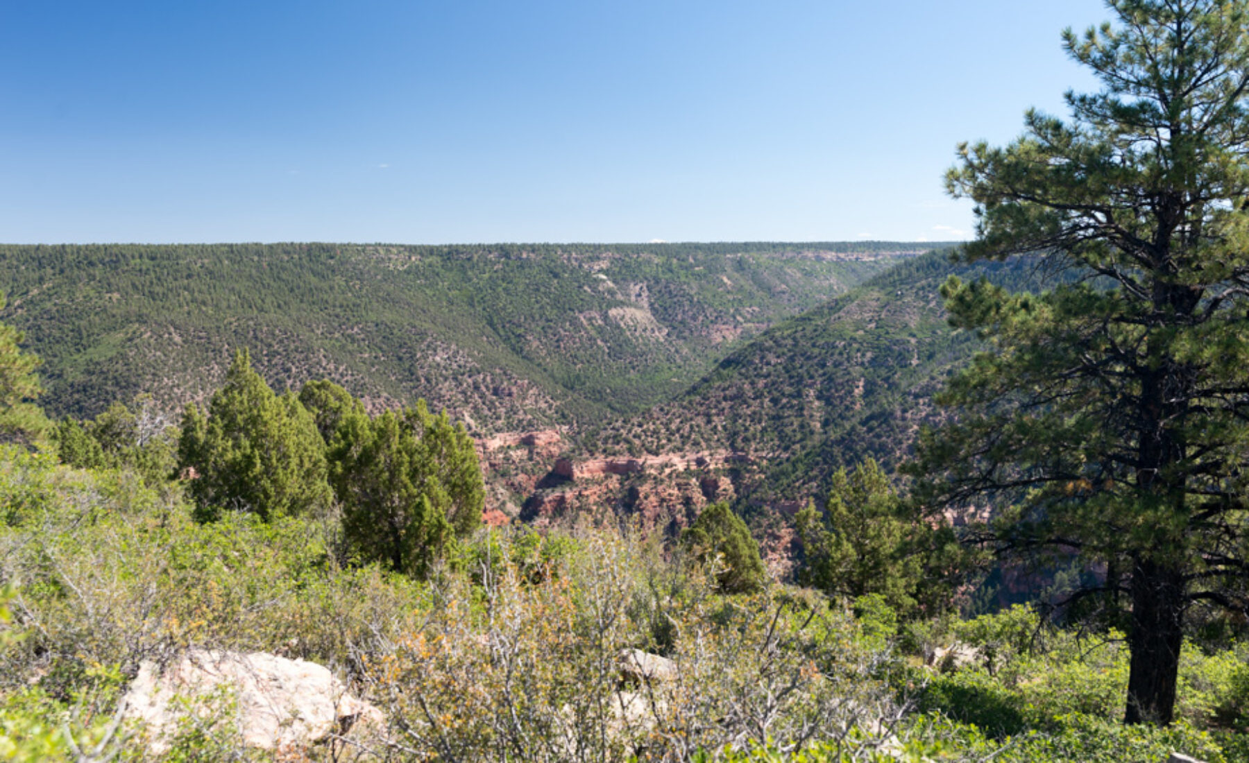 2014-09-03 Dolores Canyon River Overlook