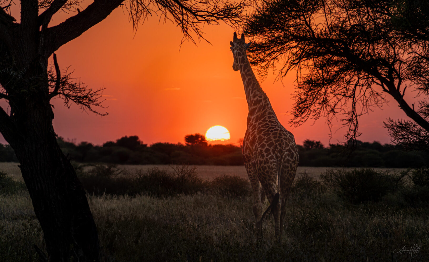 2018-04-30 and 2019-05-01 Kalahari Plains arrival and day 1