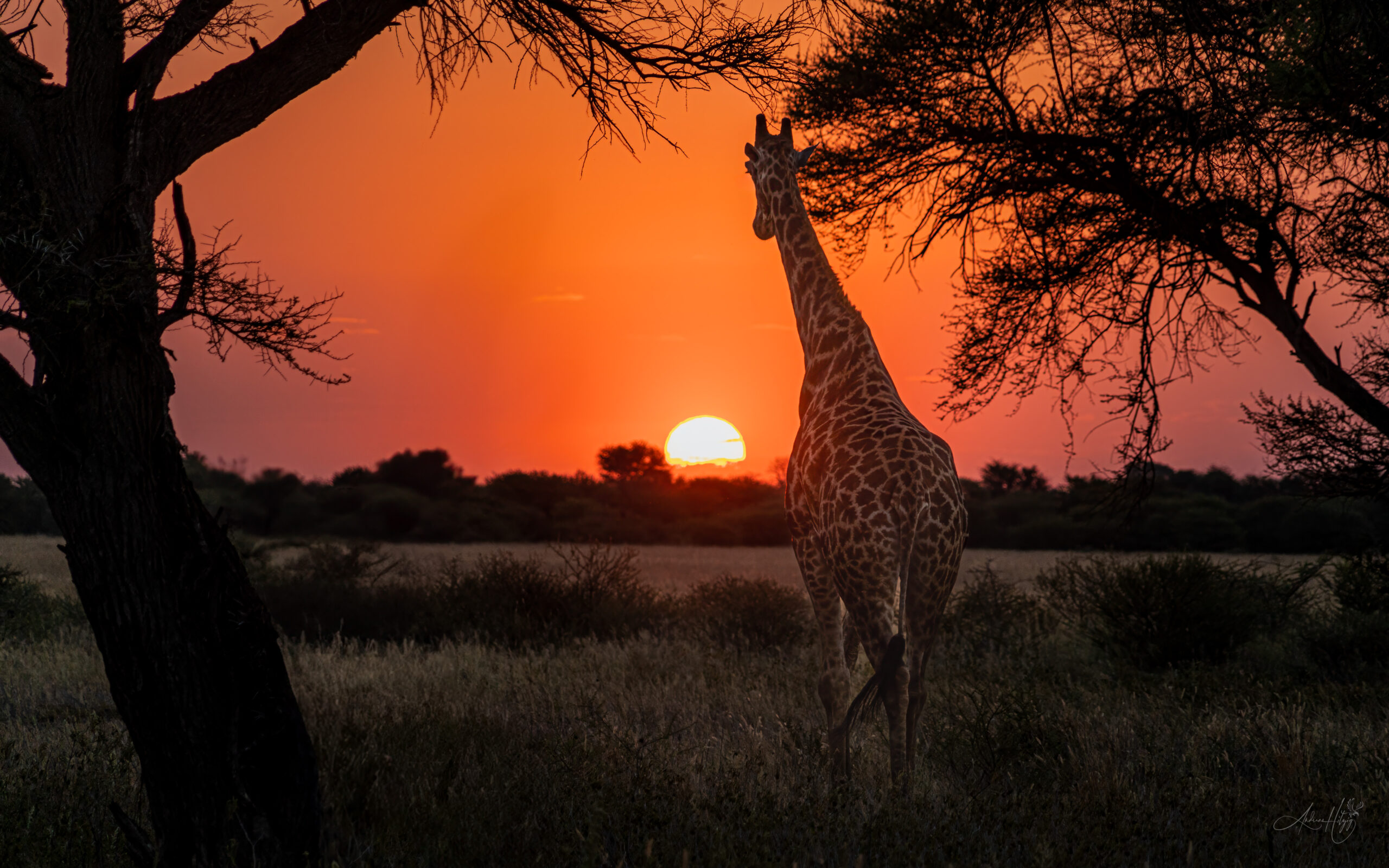 2018-04-30 and 2019-05-01 Kalahari Plains arrival and day 1
