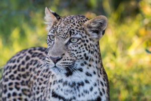 2019-01-13 Shortlist of my favourite 2018 photos